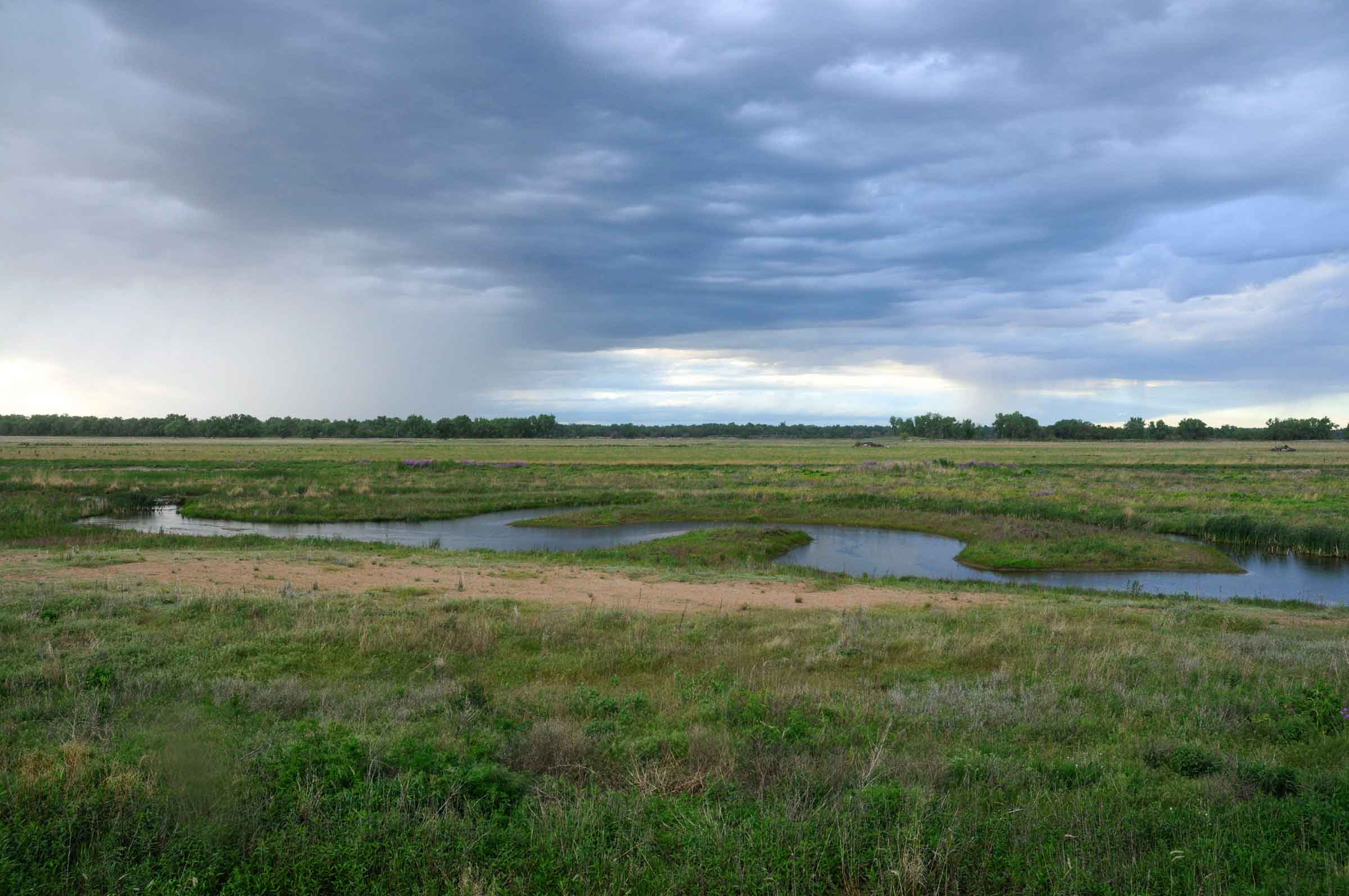 Located on Nature Conservancy property along the south channel of the Platte, this camera view shows part of an active habitat restoration project where a sandpit lake has been regraded and shaped to create a meandering stream channel with backwater wetlands and wet meadow habitat. The restoration began in summer 2011. Project funding has come from Ducks Unlimited, the Nature Conservancy, and the U.S. Fish and Wildlife Service.