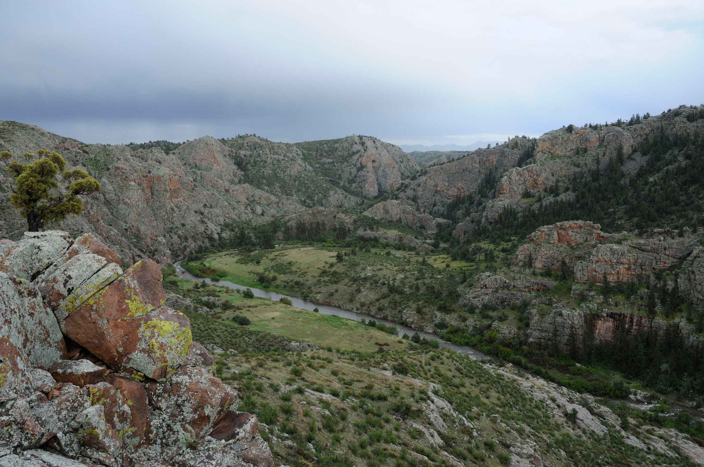 Located 30 miles northwest of Ft. Collins and consisting of over 1,700 acres, The Nature Conservancy's Phantom Canyon Preserve is one of northern Colorado's last road-less canyons. Our camera overlooks the North Fork of the Cache La Poudre River, a site where TNC is actively working to restore prairie and protect natural ecological zones in the canyon through processes such as grazing and fire.